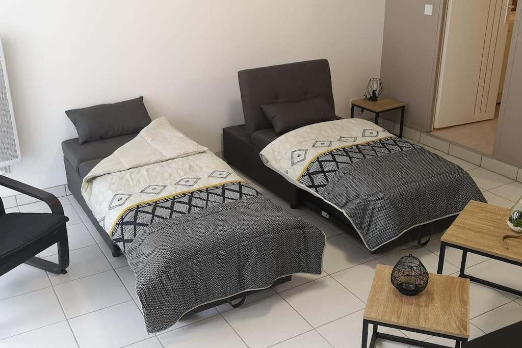 Appart-Terrasse 15Min Volcan-Lac 45Min Station Ski Ceyrat Bagian luar foto